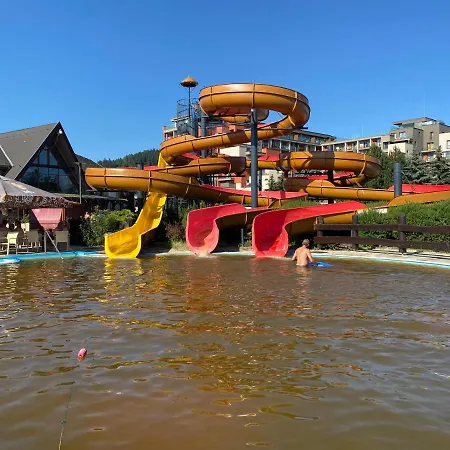 Family - Free Pool *